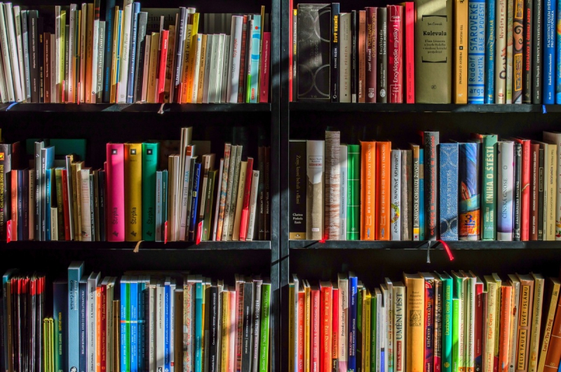 magasin-AUVARE-min_books_bookstore_book_reading_shop_writer_sale_books_read-822866